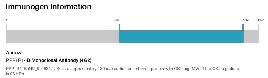 PPP1R14B Monoclonal Antibody (4G2)