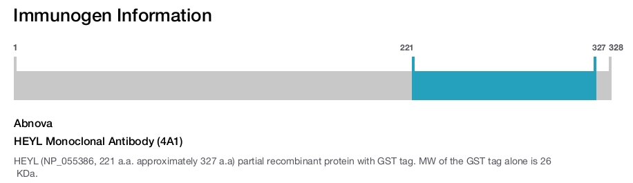HEYL Monoclonal Antibody (4A1)
