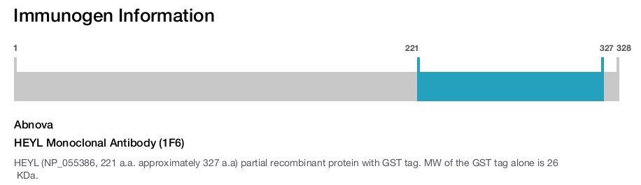 HEYL Monoclonal Antibody (1F6)