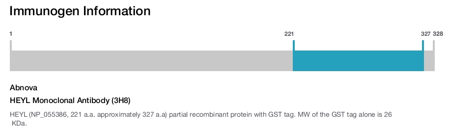HEYL Monoclonal Antibody (3H8)
