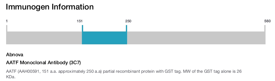 AATF Monoclonal Antibody (3C7)