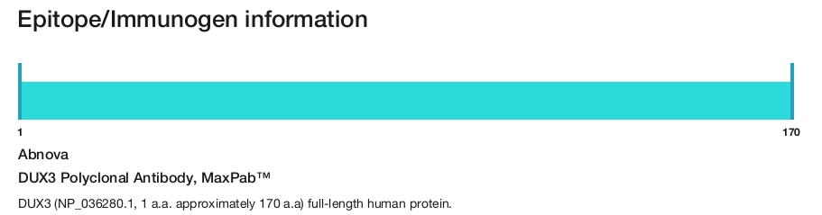DUX3 Polyclonal Antibody, MaxPab&trade;