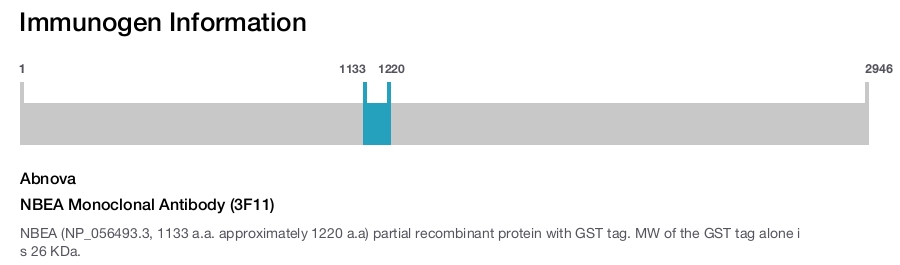 NBEA Monoclonal Antibody (3F11)