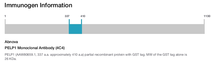 PELP1 Monoclonal Antibody (4C4)