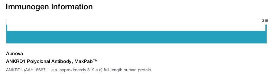 ANKRD1 Polyclonal Antibody, MaxPab™