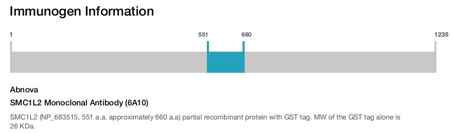 SMC1L2 Monoclonal Antibody (6A10)