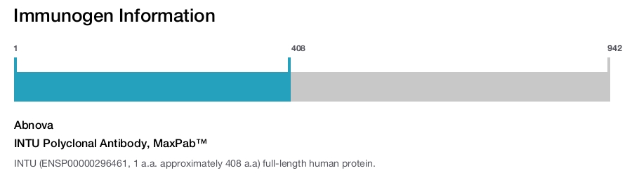 INTU Polyclonal Antibody, MaxPab™