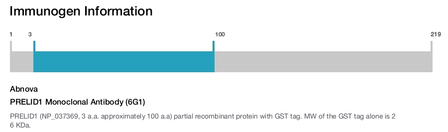 PRELID1 Monoclonal Antibody (6G1)