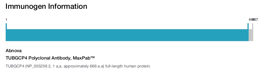 TUBGCP4 Polyclonal Antibody, MaxPab™