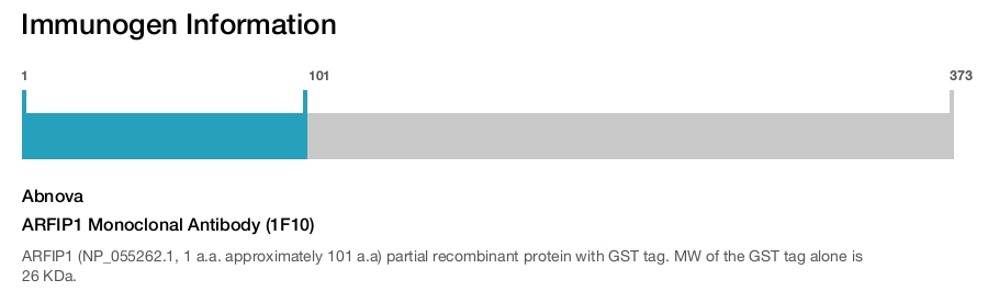 ARFIP1 Monoclonal Antibody (1F10)