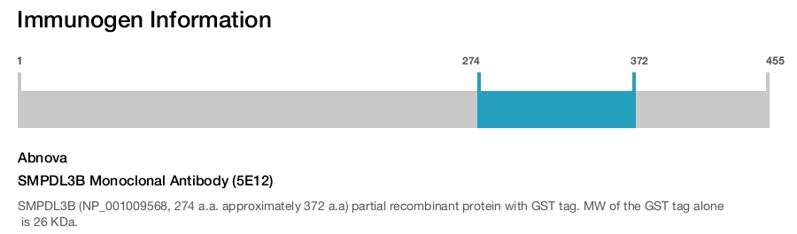 SMPDL3B Monoclonal Antibody (5E12)