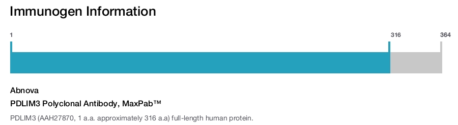 PDLIM3 Polyclonal Antibody, MaxPab™