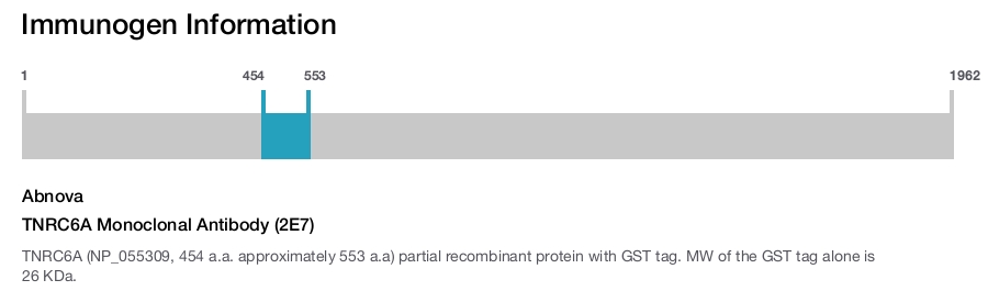 TNRC6A Monoclonal Antibody (2E7)