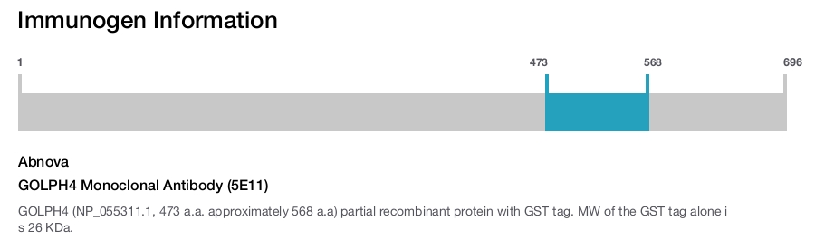 GOLPH4 Monoclonal Antibody (5E11)