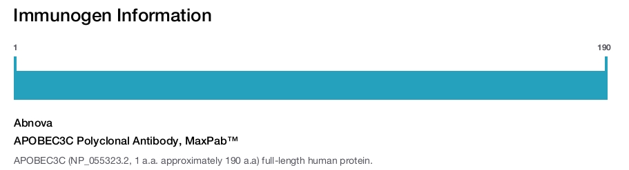 APOBEC3C Polyclonal Antibody, MaxPab™