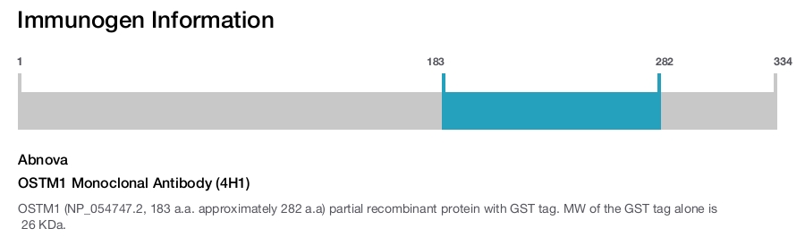 OSTM1 Monoclonal Antibody (4H1)