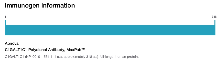 C1GALT1C1 Polyclonal Antibody, MaxPab™