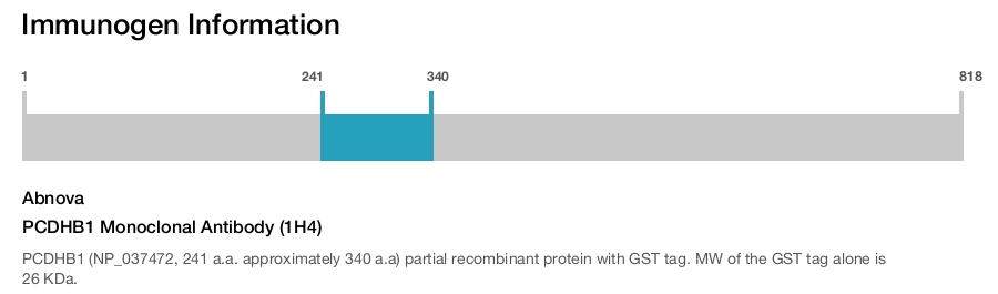 PCDHB1 Monoclonal Antibody (1H4)