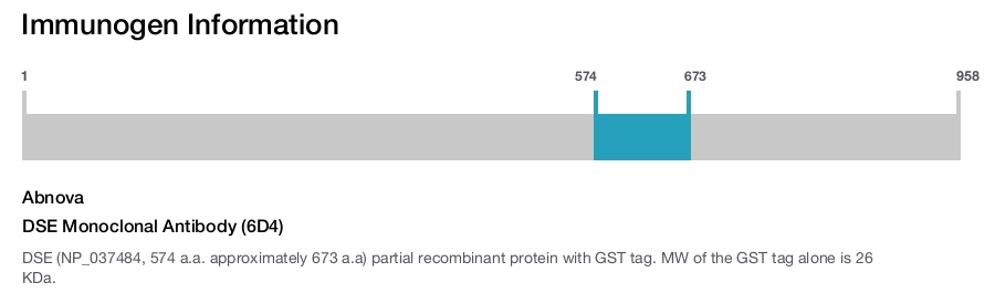 DSE Monoclonal Antibody (6D4)