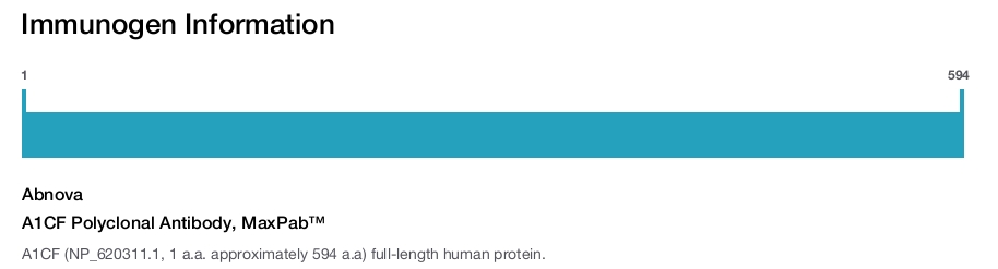 A1CF Polyclonal Antibody, MaxPab™