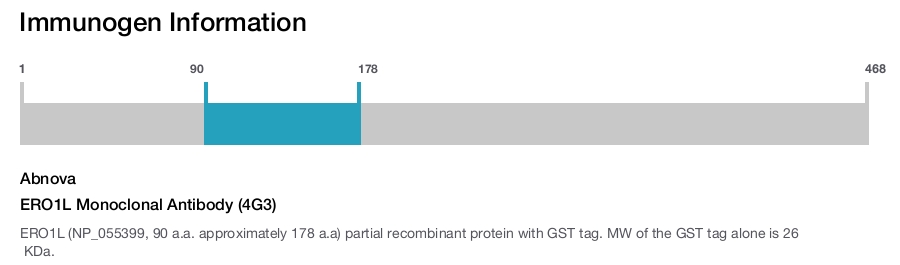 ERO1L Monoclonal Antibody (4G3)