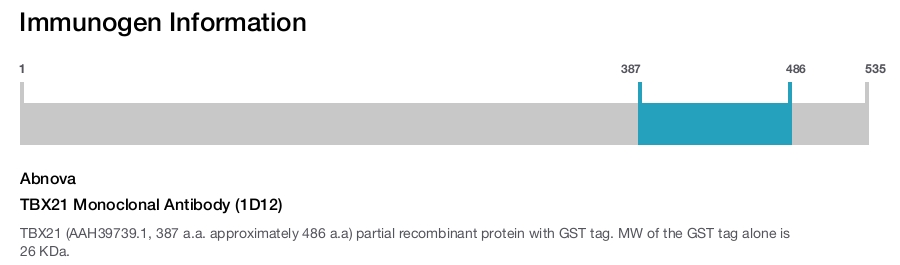 TBX21 Monoclonal Antibody (1D12)