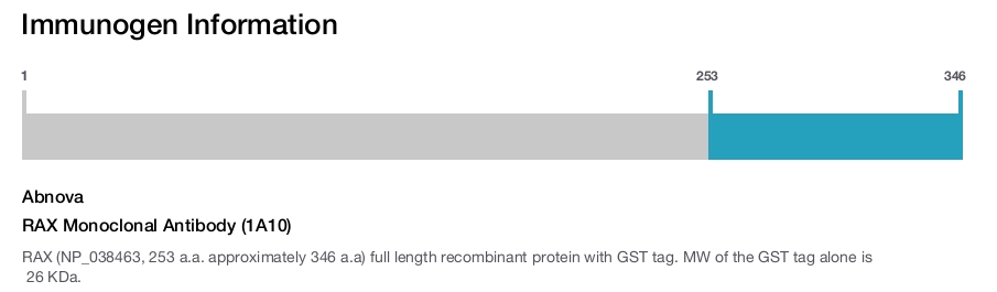 RAX Monoclonal Antibody (1A10)