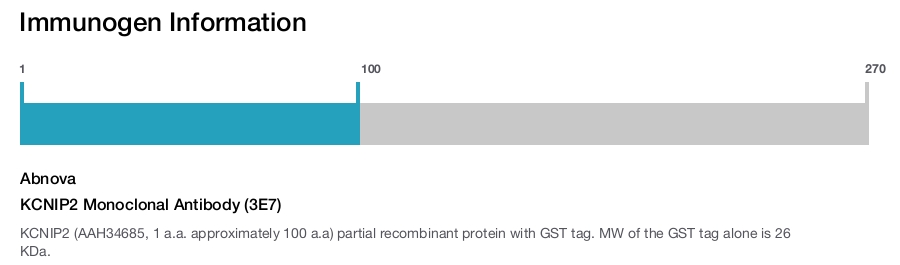 KCNIP2 Monoclonal Antibody (3E7)