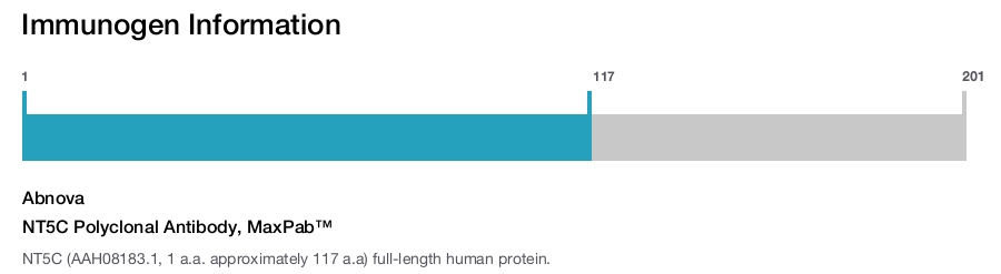 NT5C Polyclonal Antibody, MaxPab™