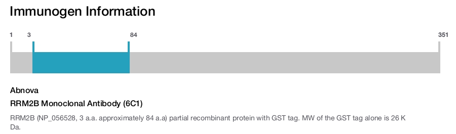 RRM2B Monoclonal Antibody (6C1)
