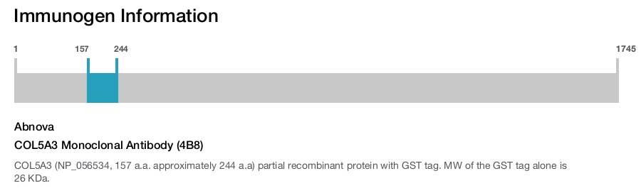 COL5A3 Monoclonal Antibody (4B8)