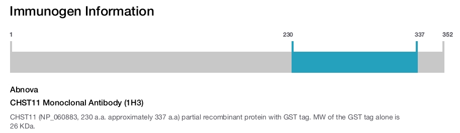 CHST11 Monoclonal Antibody (1H3)