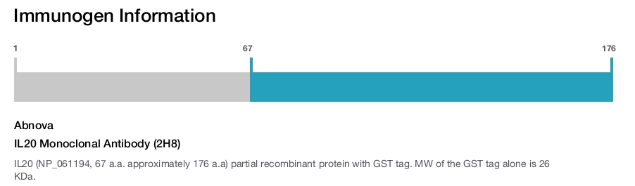 IL20 Monoclonal Antibody (2H8)