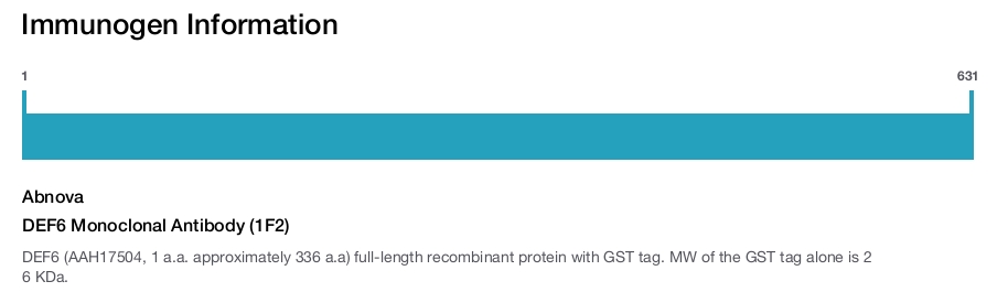 DEF6 Monoclonal Antibody (1F2)