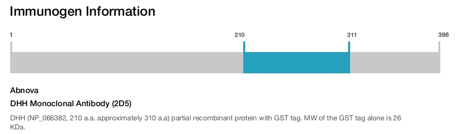 DHH Monoclonal Antibody (2D5)