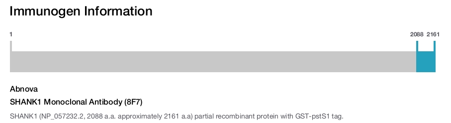 SHANK1 Monoclonal Antibody (8F7)