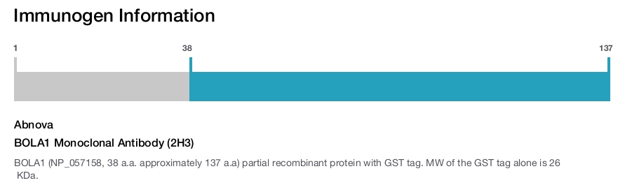 BOLA1 Monoclonal Antibody (2H3)