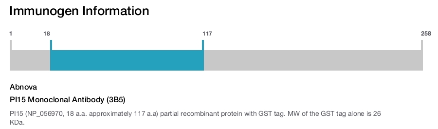 PI15 Monoclonal Antibody (3B5)