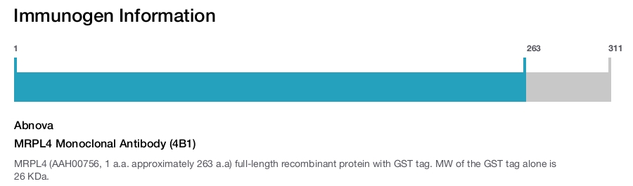 MRPL4 Monoclonal Antibody (4B1)