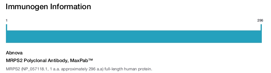 MRPS2 Polyclonal Antibody, MaxPab™