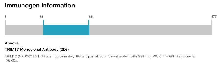 TRIM17 Monoclonal Antibody (2D3)