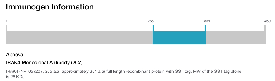 IRAK4 Monoclonal Antibody (2C7)