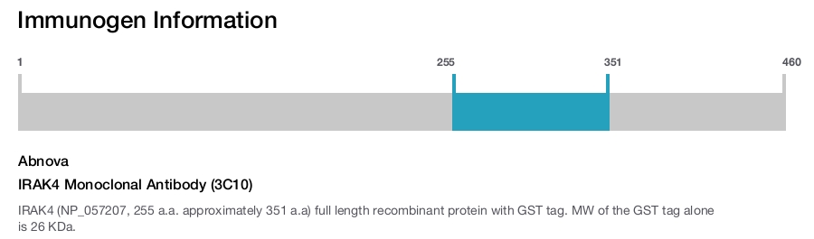 IRAK4 Monoclonal Antibody (3C10)