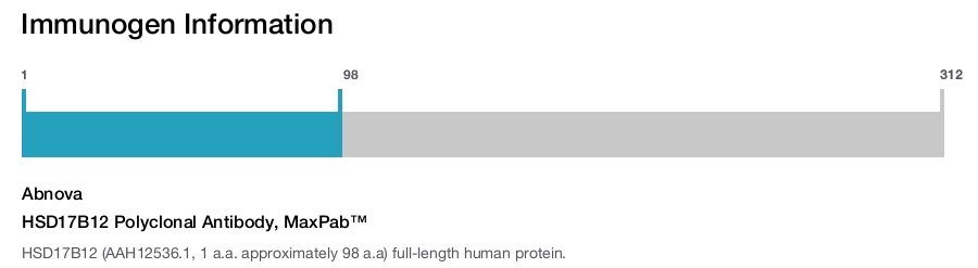 HSD17B12 Polyclonal Antibody, MaxPab™