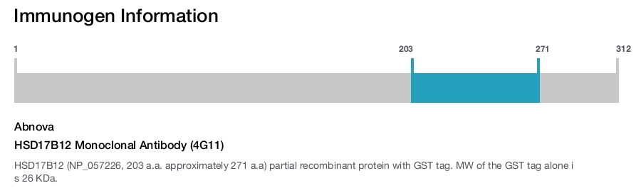 HSD17B12 Monoclonal Antibody (4G11)