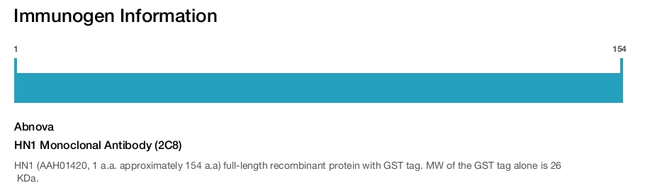 HN1 Monoclonal Antibody (2C8)