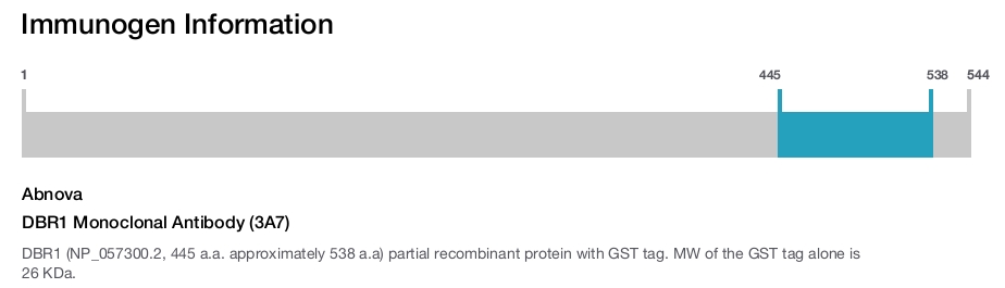 DBR1 Monoclonal Antibody (3A7)