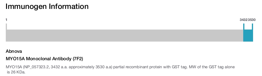 MYO15A Monoclonal Antibody (7F2)