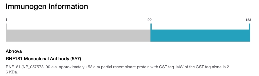 RNF181 Monoclonal Antibody (5A7)