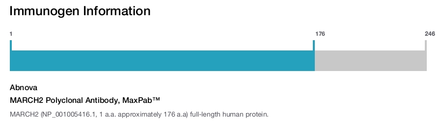 MARCH2 Polyclonal Antibody, MaxPab™